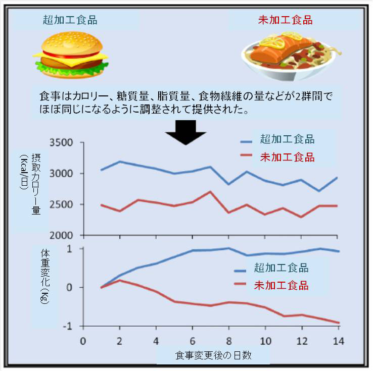 加工食品